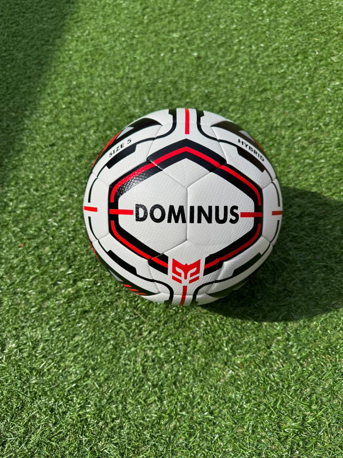 DOMINUS Training Ball