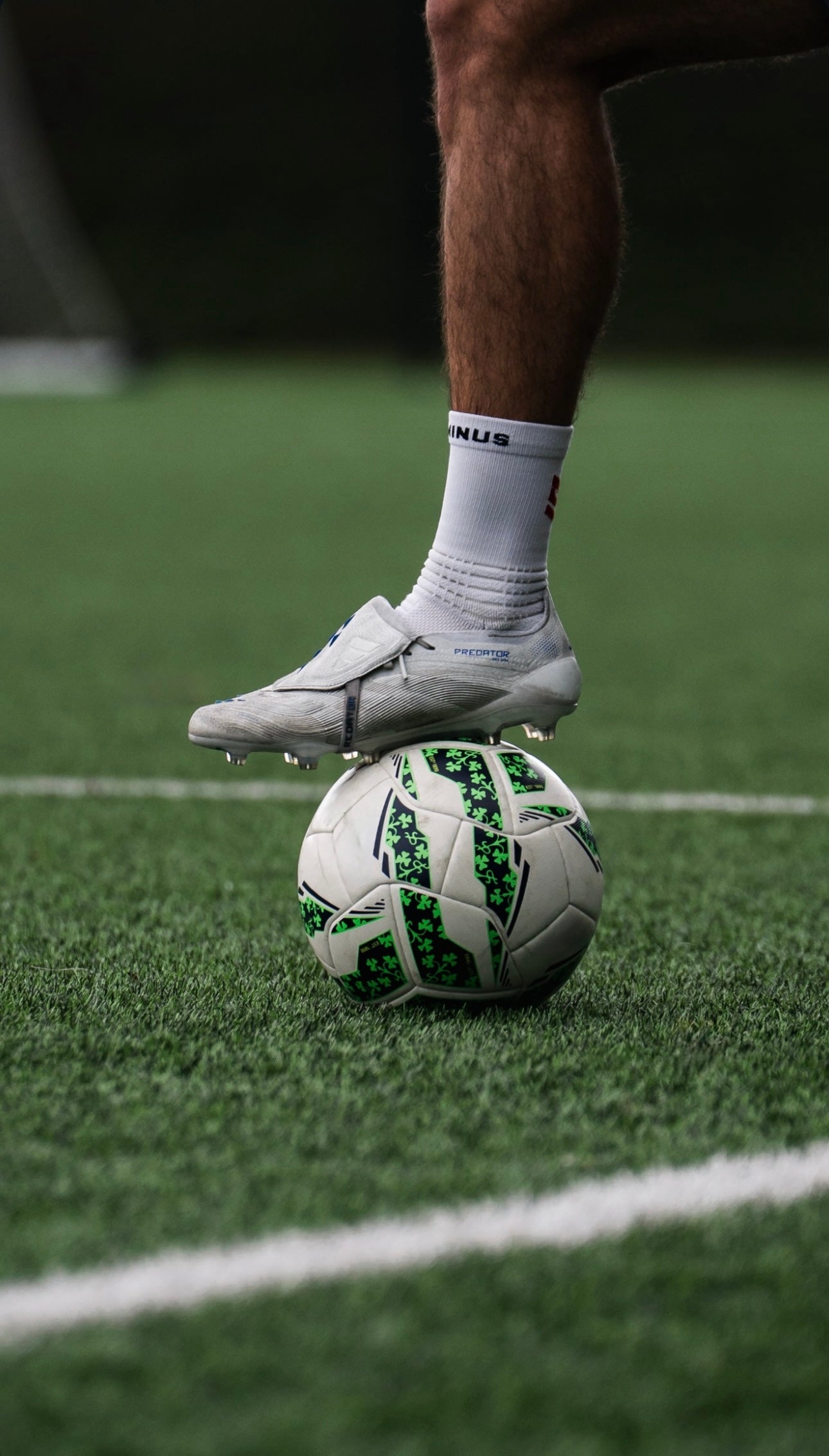 DOMINUS Support+ Grip Socks 🔥 Crusaders Offer - 3 pairs for £17