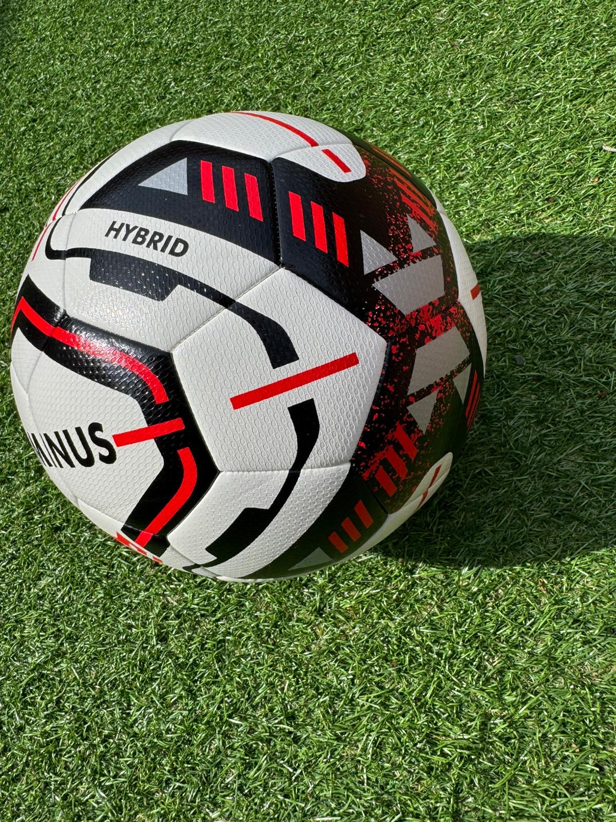 DOMINUS Training Ball
