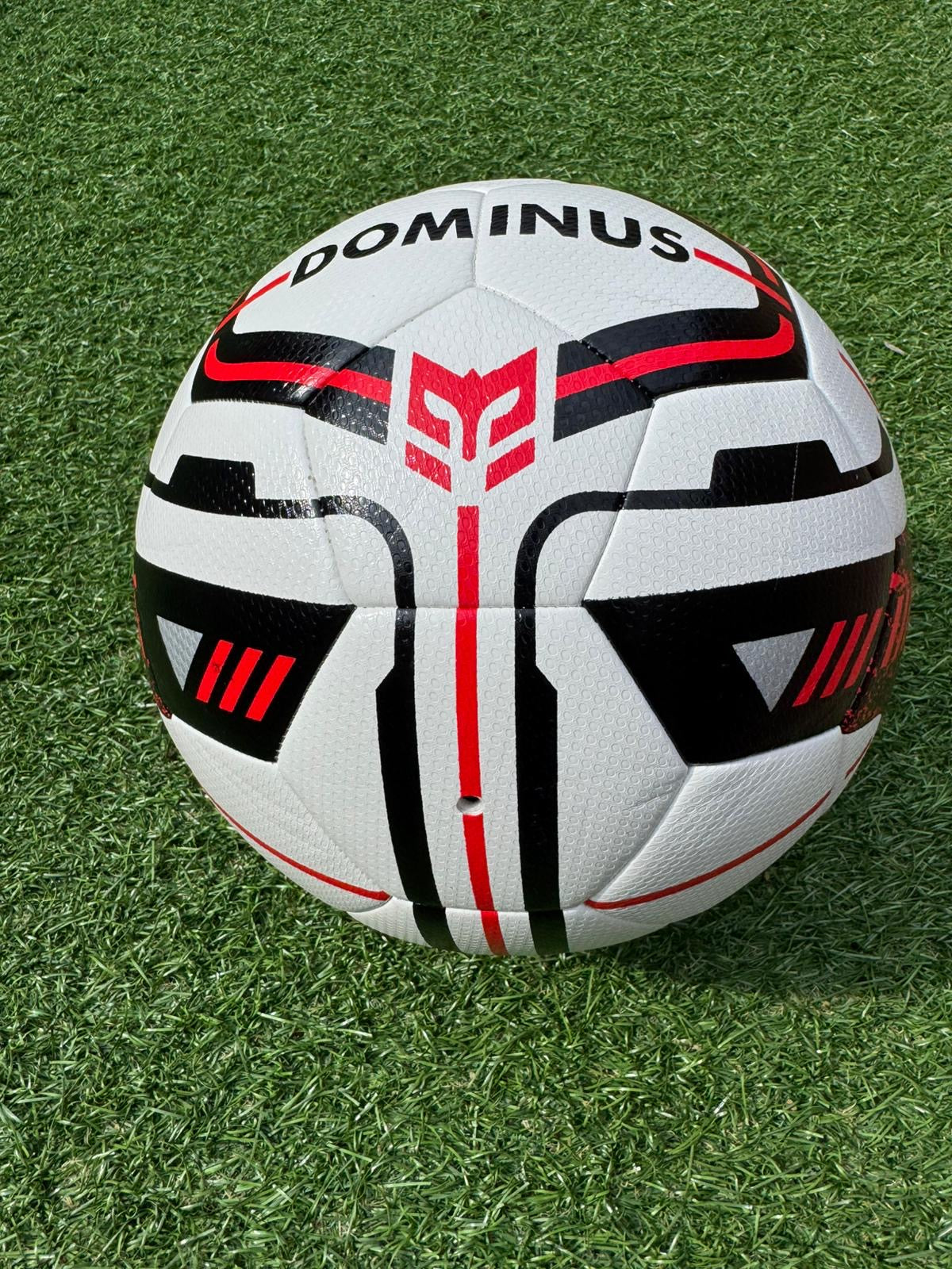DOMINUS Training Ball