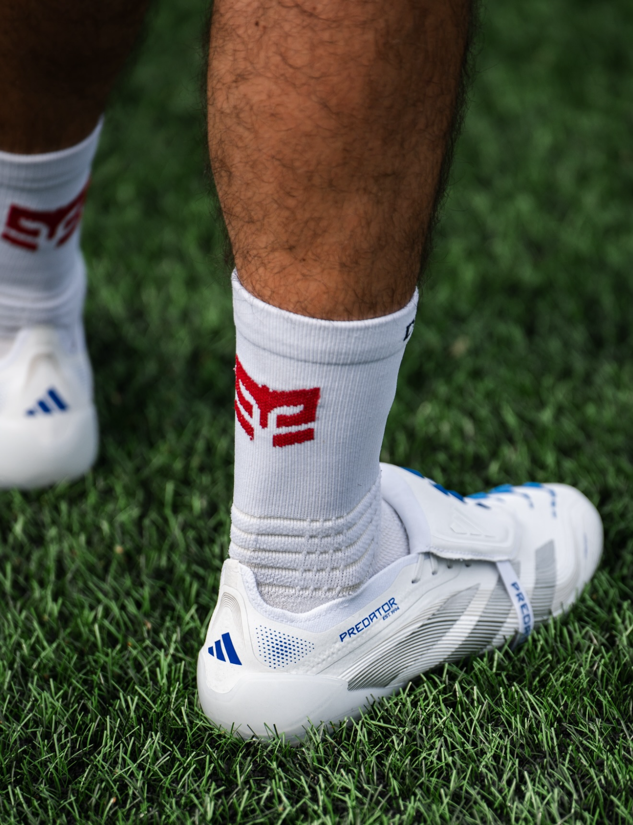 DOMINUS Support+ Grip Socks 🔥 Crusaders Offer - 3 pairs for £17